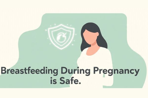 breastfeeding during pregnancy