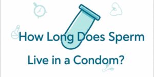 Read more about the article How Long Does Sperm Live in a Condom?