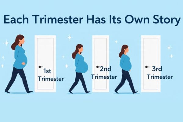trimester